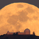 Image for article titled 10 Moons Every Person Should Know
